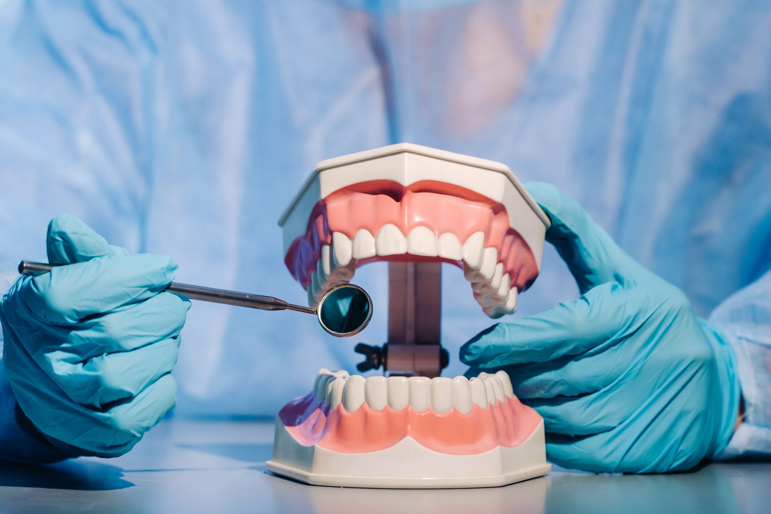 dental professional examining teeth model with mir 2026 01 09 07 07 11 utc
